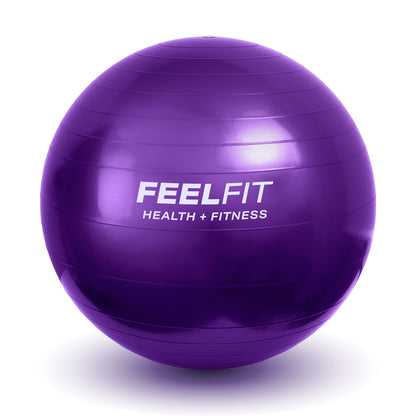 Exercise Gym Ball Swiss Pilates Yoga Core Training Pregnancy Birthing Anti-Burst